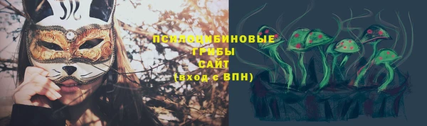 ECSTASY Лагань
