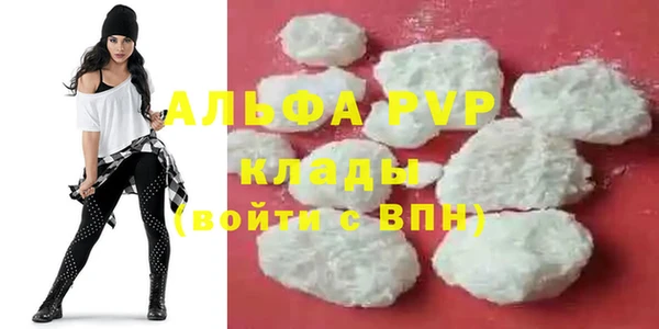 ECSTASY Лагань