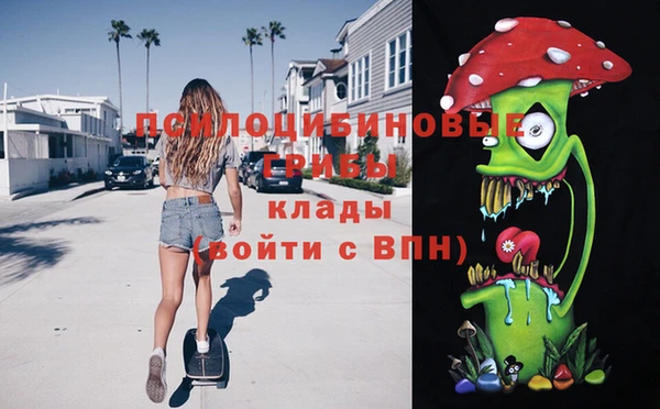 spice Ладушкин