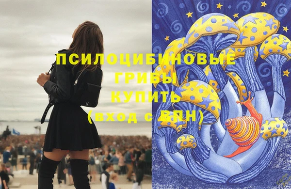 прущие грибы Медвежьегорск
