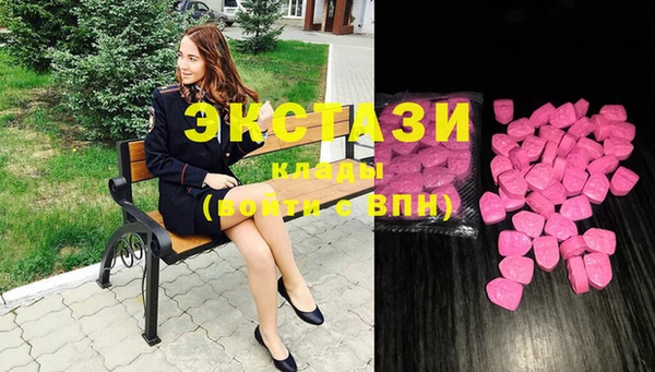 ECSTASY Лагань