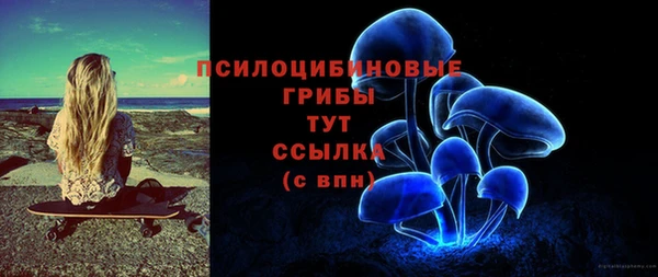 гашик Лабытнанги